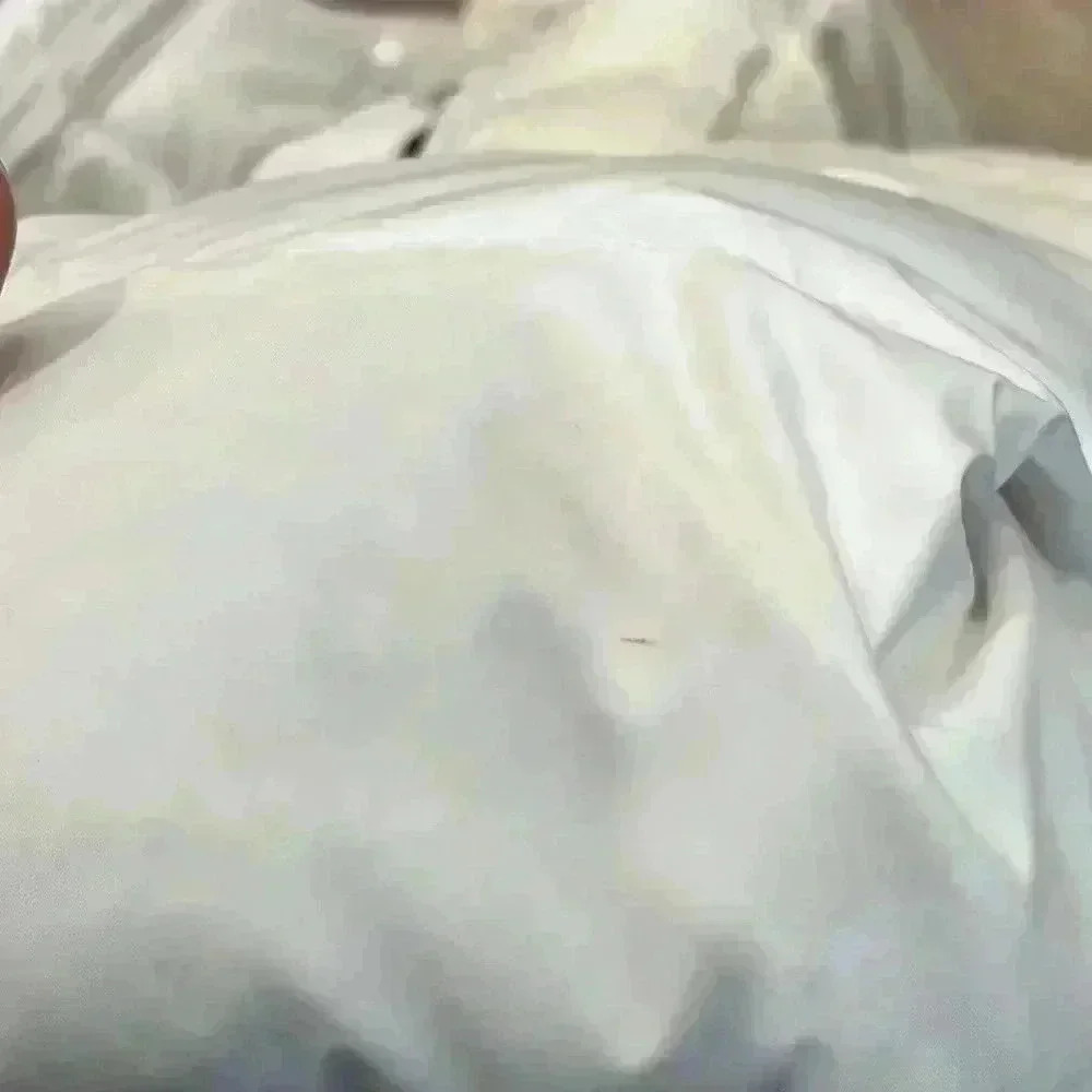 The North Face Women’s Nuptse Parka, Small - Picture 11 of 13